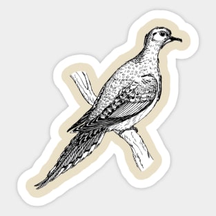 Pigeon Sticker